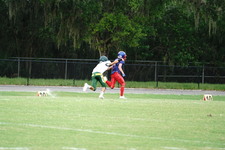 Enlarge photo 164