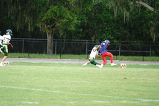 Enlarge photo 165
