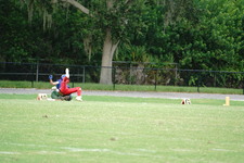Enlarge photo 169