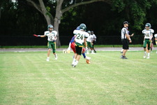 Enlarge photo 188