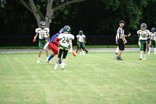 Enlarge photo 189