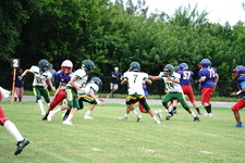 Enlarge photo 195