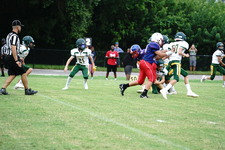 Enlarge photo 198