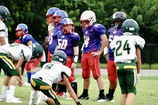 Enlarge photo 203