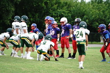 Enlarge photo 205