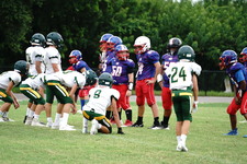 Enlarge photo 206