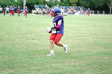 Enlarge photo 213