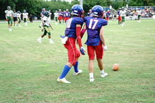 Enlarge photo 219