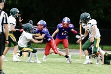 Enlarge photo 218