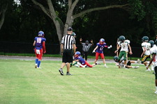 Enlarge photo 220