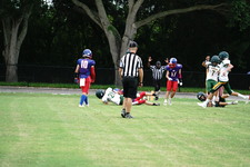 Enlarge photo 221