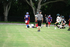 Enlarge photo 223