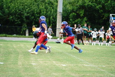 Enlarge photo 228