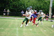Enlarge photo 230