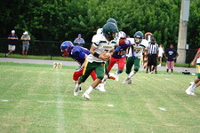 Enlarge photo 229