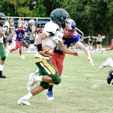 Enlarge photo 231