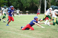 Enlarge photo 234