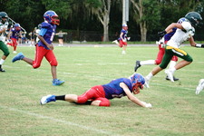 Enlarge photo 233