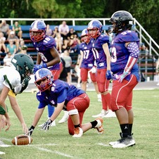 Enlarge photo 237