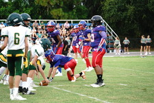 Enlarge photo 241