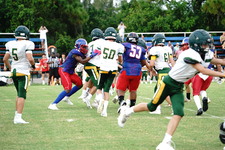 Enlarge photo 242