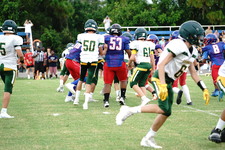Enlarge photo 243