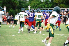Enlarge photo 244