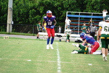 Enlarge photo 245