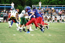 Enlarge photo 259