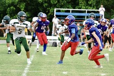 Enlarge photo 258