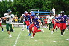 Enlarge photo 260