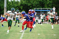 Enlarge photo 262