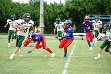Enlarge photo 263