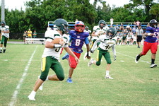 Enlarge photo 264