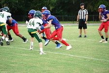 Enlarge photo 268