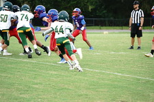 Enlarge photo 269