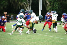 Enlarge photo 270