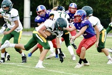 Enlarge photo 271