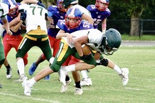 Enlarge photo 272