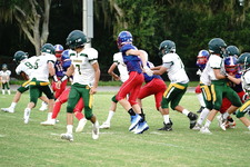 Enlarge photo 273