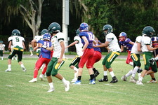 Enlarge photo 274