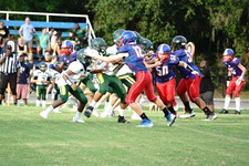 Enlarge photo 295