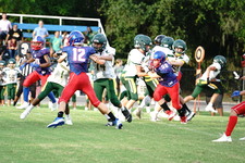 Enlarge photo 296