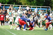 Enlarge photo 299
