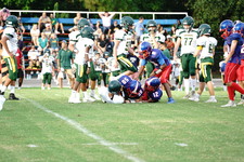 Enlarge photo 302