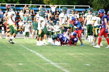 Enlarge photo 303