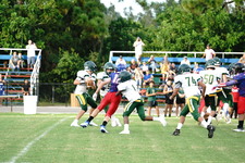Enlarge photo 312