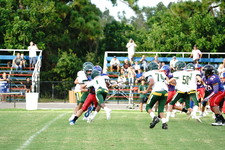 Enlarge photo 311