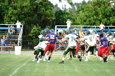 Enlarge photo 314