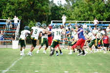 Enlarge photo 315